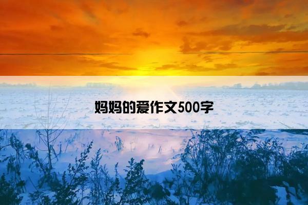 妈妈的爱作文500字