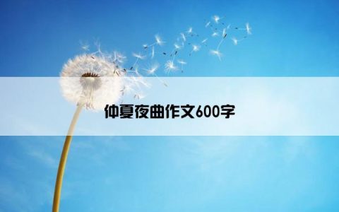 仲夏夜曲作文600字