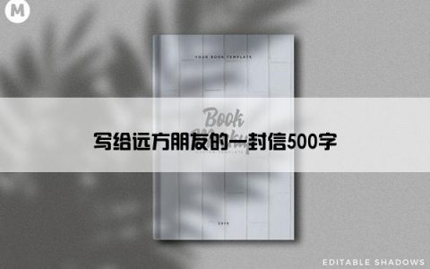 写给远方朋友的一封信500字