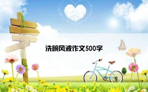 洗碗风波作文500字