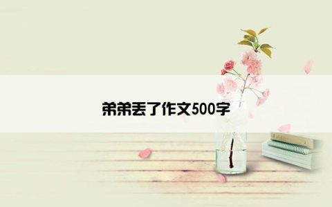弟弟丢了作文500字