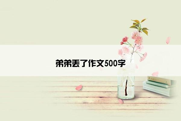 弟弟丢了作文500字