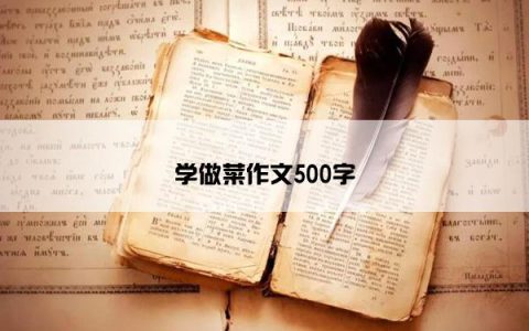 学做菜作文500字