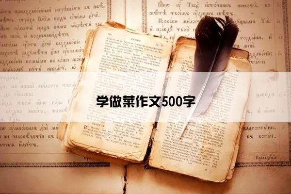 学做菜作文500字