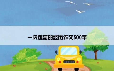 一次难忘的经历作文500字