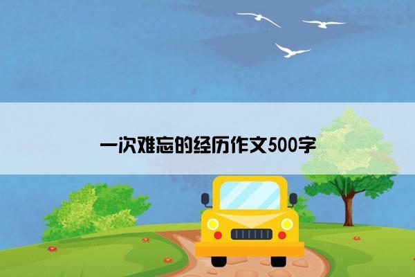 一次难忘的经历作文500字