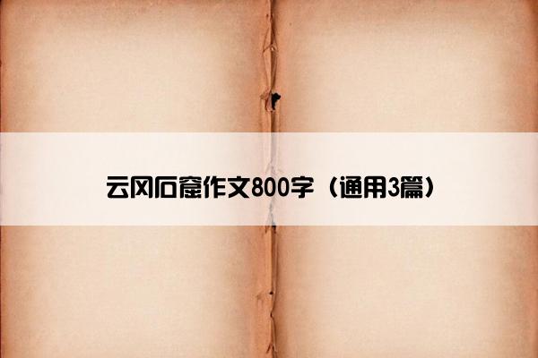 云冈石窟作文800字（通用3篇）