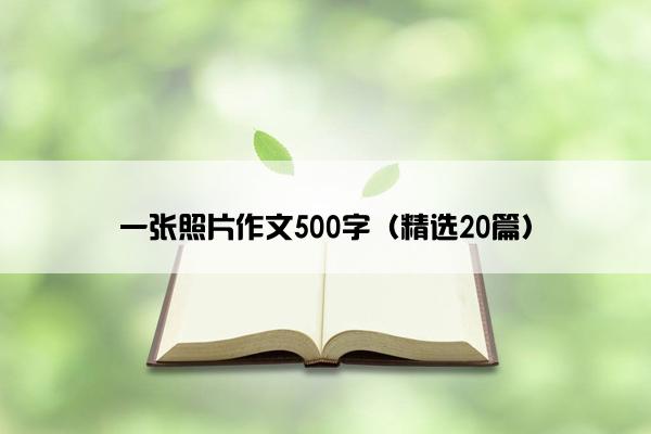 一张照片作文500字（精选20篇）