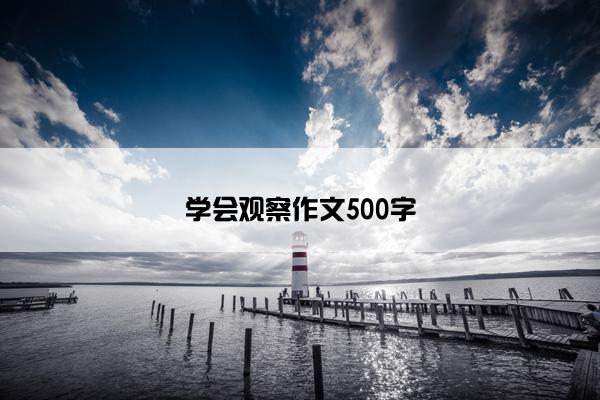 学会观察作文500字