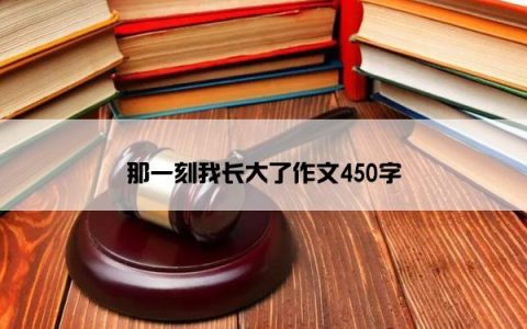 那一刻我长大了作文450字