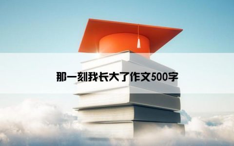 那一刻我长大了作文500字