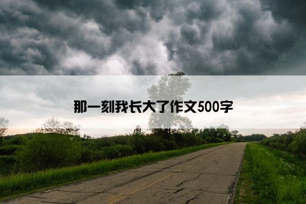 那一刻我长大了作文500字