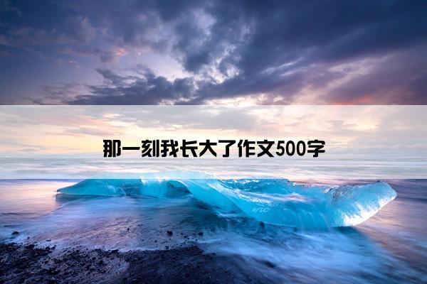 那一刻我长大了作文500字