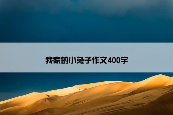 我家的小兔子作文400字