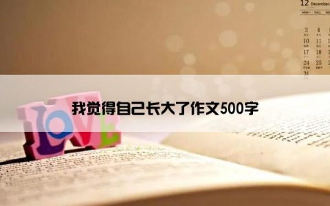 我觉得自己长大了作文500字