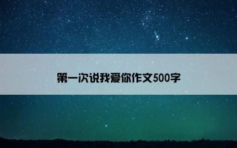第一次说我爱你作文500字