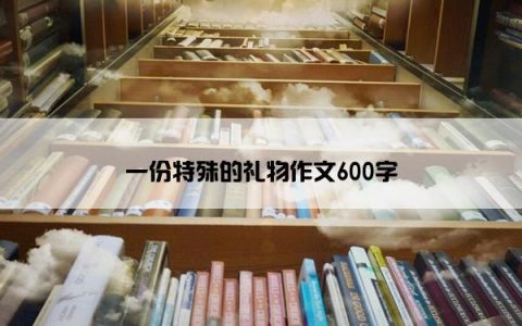一份特殊的礼物作文600字