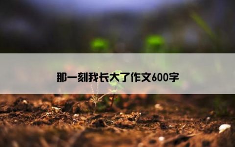 那一刻我长大了作文600字