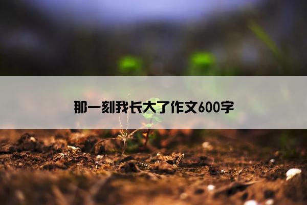 那一刻我长大了作文600字