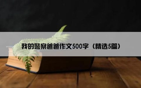 我的警察爸爸作文500字（精选5篇）