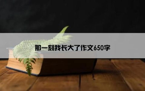 那一刻我长大了作文650字