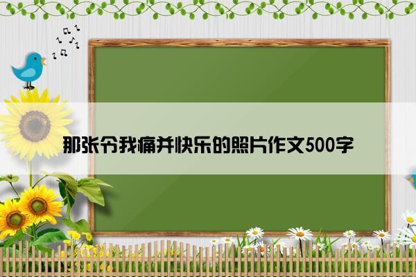 那张令我痛并快乐的照片作文500字