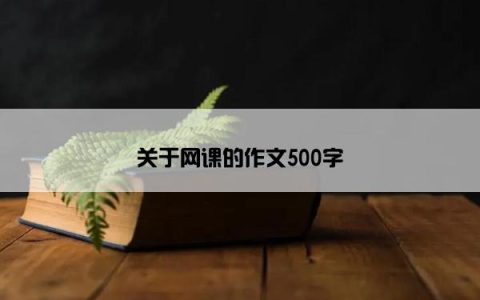 关于网课的作文500字