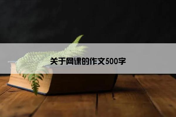 关于网课的作文500字