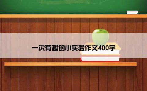 一次有趣的小实验作文400字