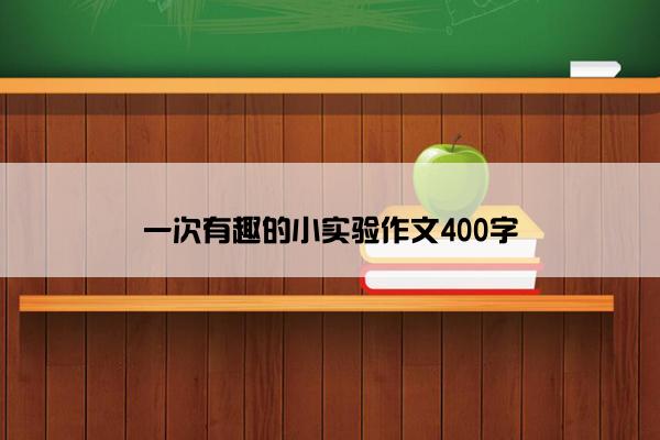 一次有趣的小实验作文400字