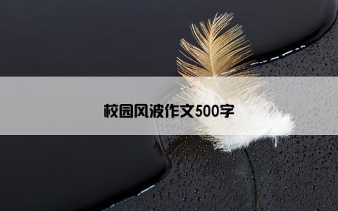 校园风波作文500字