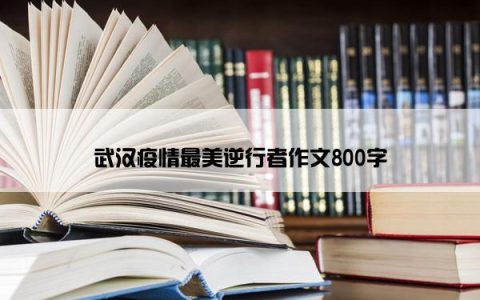武汉疫情最美逆行者作文800字