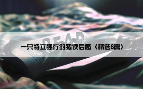 一只特立独行的猪读后感（精选8篇）