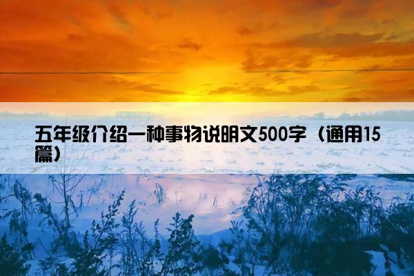 五年级介绍一种事物说明文500字（通用15篇）