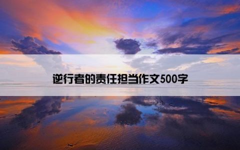 逆行者的责任担当作文500字