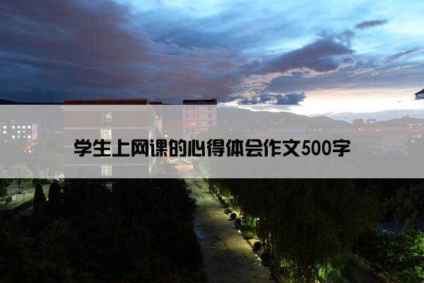 学生上网课的心得体会作文500字