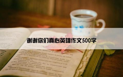 谢谢你们真心英雄作文500字
