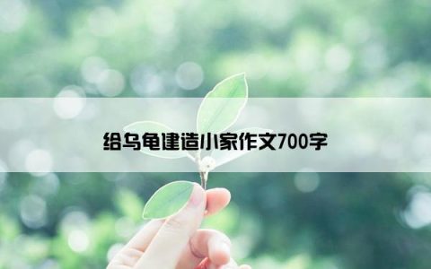 给乌龟建造小家作文700字