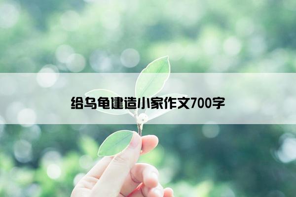 给乌龟建造小家作文700字