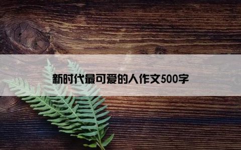 新时代最可爱的人作文500字