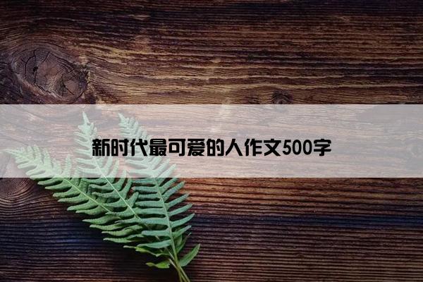 新时代最可爱的人作文500字