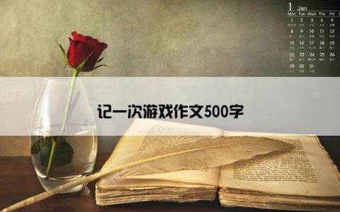 记一次游戏作文500字