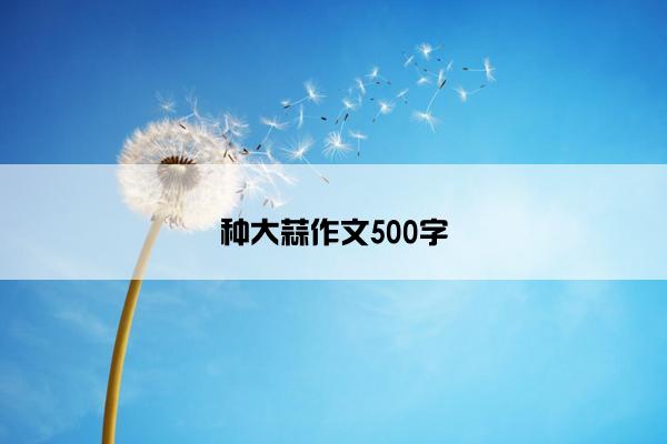 种大蒜作文500字