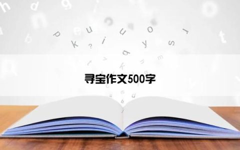 寻宝作文500字