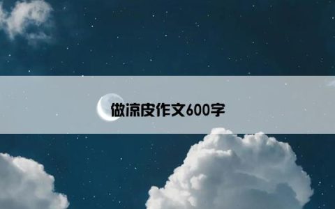 做凉皮作文600字