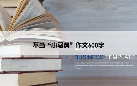 不当“小马虎”作文600字