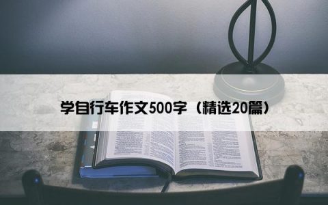 学自行车作文500字（精选20篇）