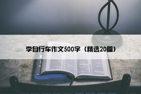 学自行车作文500字（精选20篇）