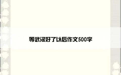 等武汉好了以后作文500字
