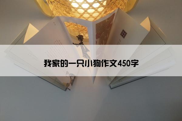 我家的一只小狗作文450字